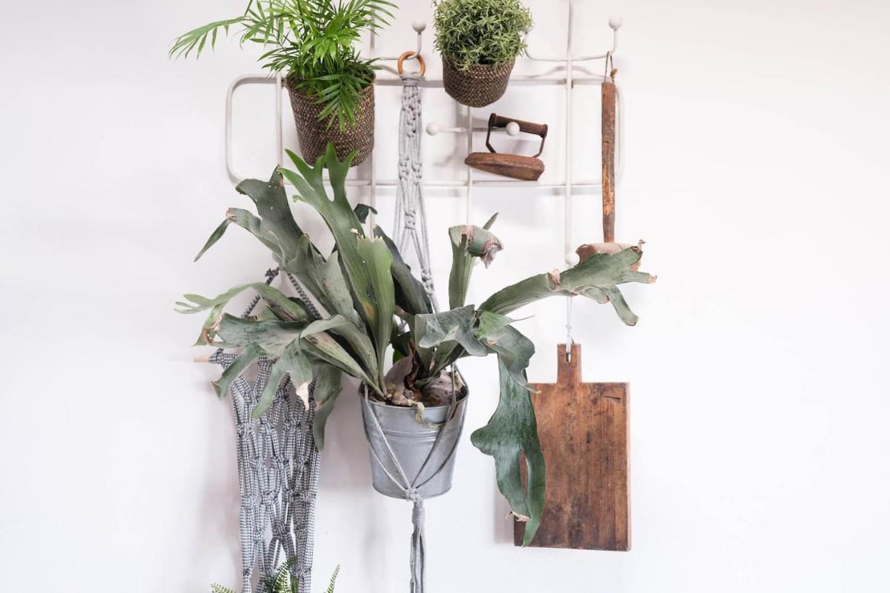 Willa Casa Botanica Tao Zewnętrze zdjęcie